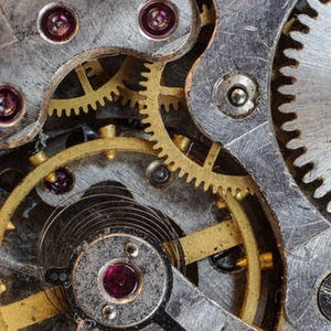 Meet your Posher, Nick